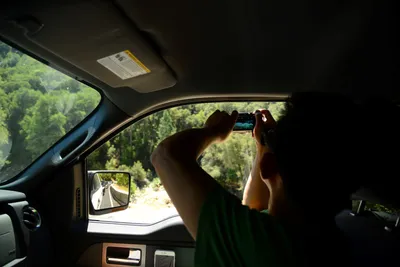 DSC_2244 (Large).JPG